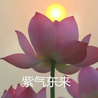热血至尊百度手游下载